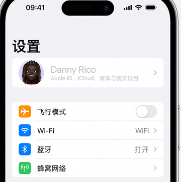 于洪appleID维修服务iPhone设置中Apple ID显示为灰色无法使用 