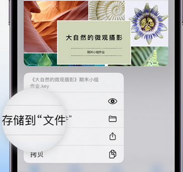 于洪apple维修中心分享iPhone文件应用中存储和找到下载文件