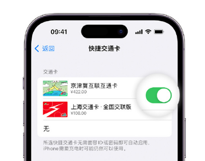 于洪apple维修点分享iPhone上更换Apple Pay快捷交通卡手绘卡面 