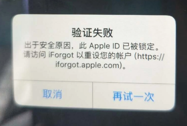 于洪iPhone维修分享iPhone上正常登录或使用AppleID怎么办 