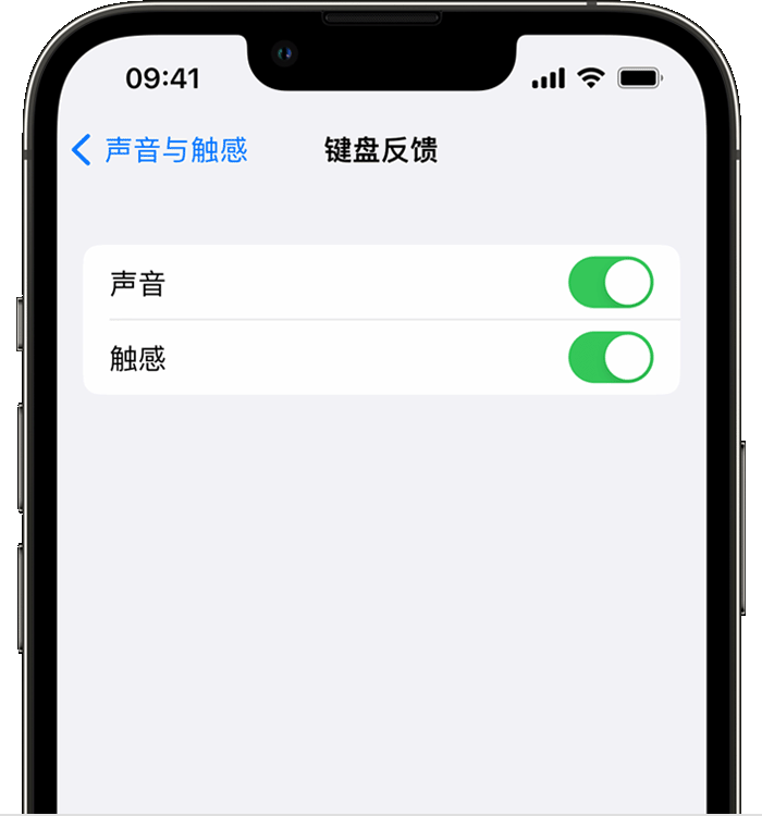 于洪苹果14维修店分享如何在 iPhone 14 机型中使用触感键盘 