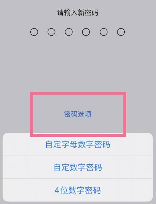 于洪苹果14维修分享iPhone 14plus设置密码的方法 