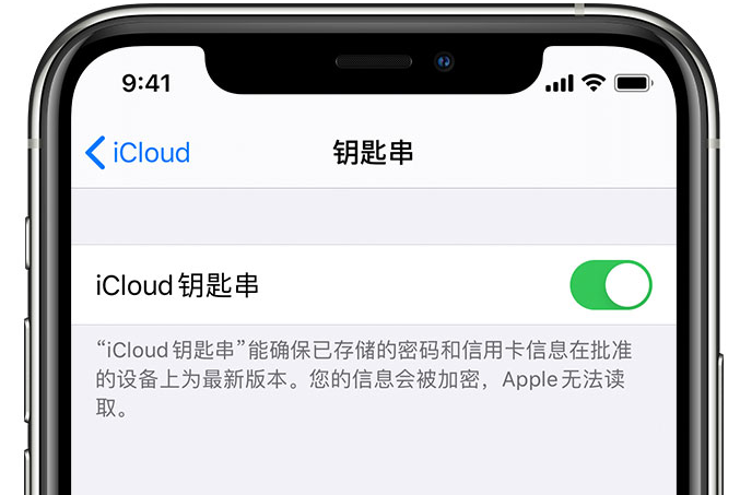 于洪苹果手机维修分享在 iPhone 上开启 iCloud 钥匙串之后会储存哪些信息 