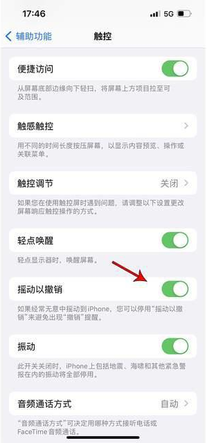 于洪苹果手机维修分享iPhone手机如何设置摇一摇删除文字 